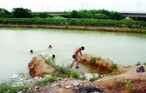 南京三名女孩溺水 菜农救起两人另1人死亡_新