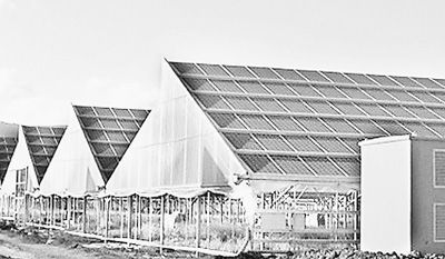 人民日报:江苏光伏企业在欧自建太阳能电站