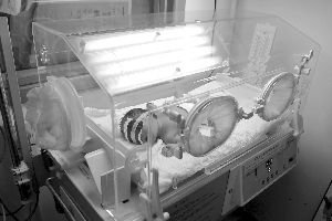 南京产科医生演示婴儿保温箱 最高只有37℃