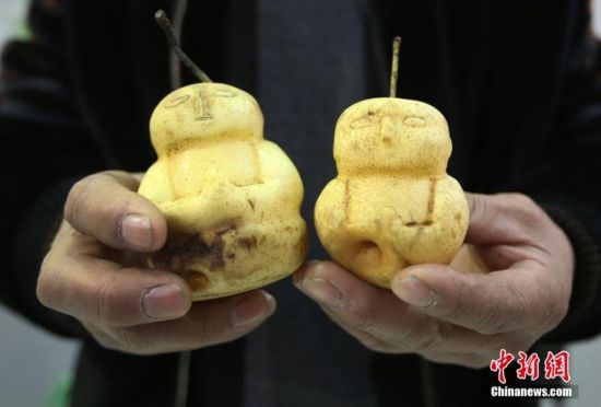 南京农产品展销会现人形梨 引围观